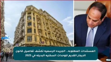 المستندات المطلوبة.. الجريدة الرسمية تكشف تفاصيل قانون الإيجار القديم للوحدات السكنية البديلة في 2025